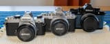 nikon-zf-size-comparison-to-zfc-fm-v0-vu8pg1vzivwc1