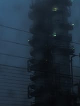 IMG_3534