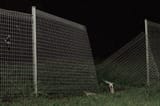 NO_U3676