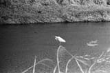 IMG_20250412_181947_502