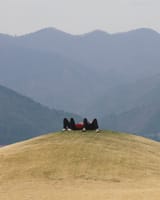 IMGG_10788