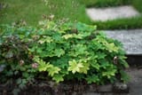 DSC05201