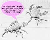 Crabs_qbo8oh
