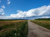 DSCF4834
