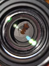 spot metering damage
