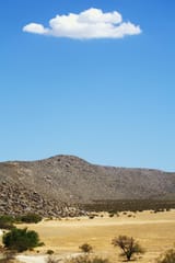 IMG_5786