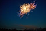 C32A2526_Wild_Zapdos_Resize