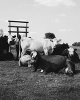KMBW_0338