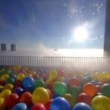 Thread 4451812 OP Image