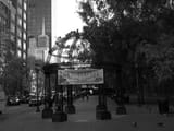 DSCN2517