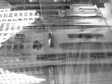 DSCN2520