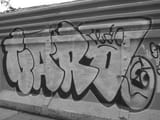 DSCN2581
