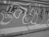 DSCN2582