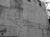 DSCN2586