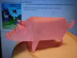 Not-a-boar