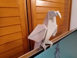 IMG_20220615_191904672_MP