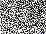 tumblr_nif4q73eC71rrd3cjo1_1280