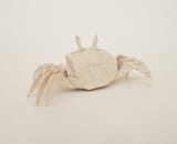 ghostcrab3