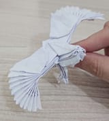 eaglewithdownsyndrome