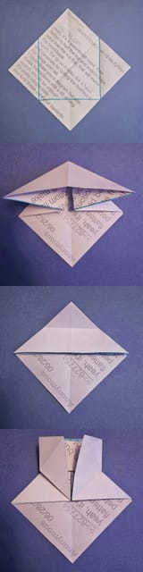 bird-1