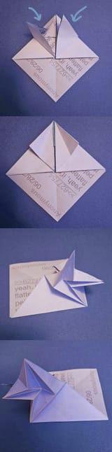 bird-2