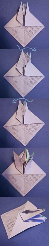 bird-3