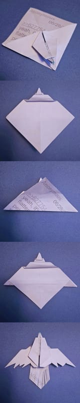 bird-4