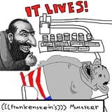 muttenstein608065