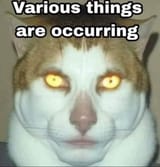 various things are occurring