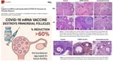 CovidVaxInfertility