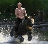 putingridingbear