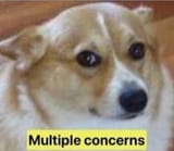 multiple concerns