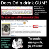 Does Odin drink cum jewish slander lies debunked Norse Germanic Indo-European Paganism Religion Professor David F. Greenberg