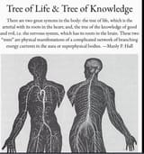 1710272324150877
