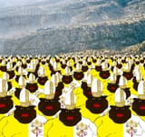 groypers
