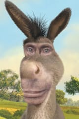 putin donke