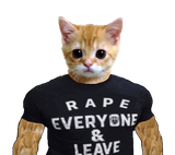 basedcatjack