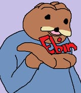 ebin