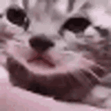 1705438700126995
