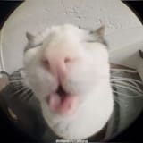 1872476295826972977-01