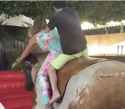 downie and milf horse sex_thumb.jpg