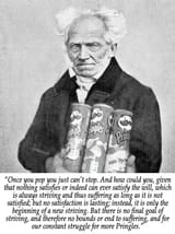 Pringles Schopenhauer