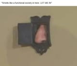 functional society hook nose