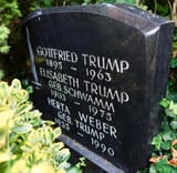 Kallstadt-trump