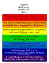 Gender Rainbow