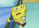 sponge
