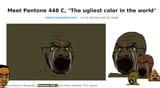 poojeet color
