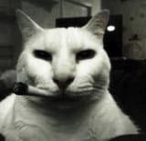 0-GlvVq9Ngg