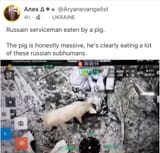 ru pig
