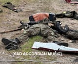 sad accordian
